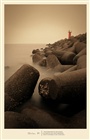 dailyPhoto5
